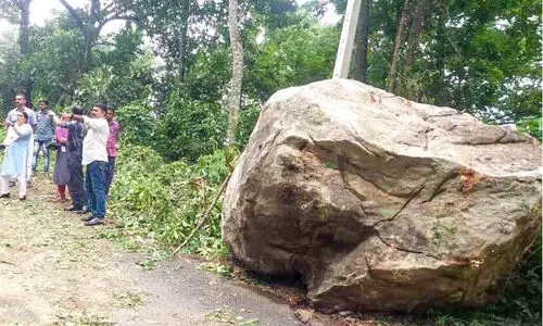 കാറ്റിലും മഴയിലും വ്യാപക നാശം
