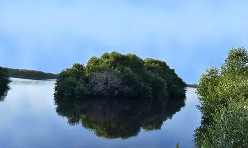 പ്രകൃതി രമണീയം, അവർണ്ണനീയം അജ്മാൻ അൽ സോറ