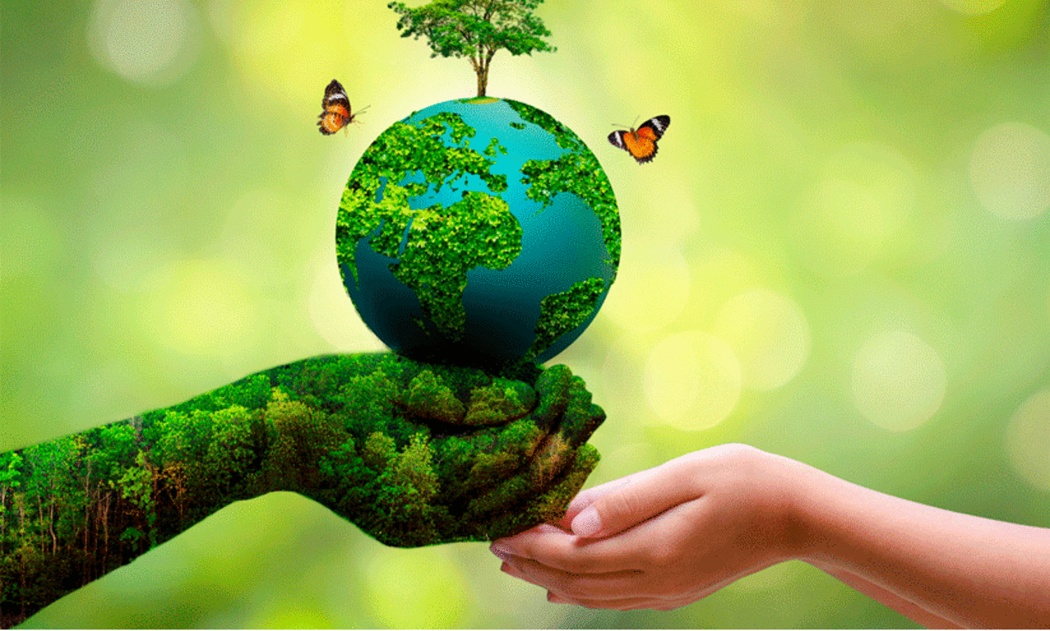 world environment day