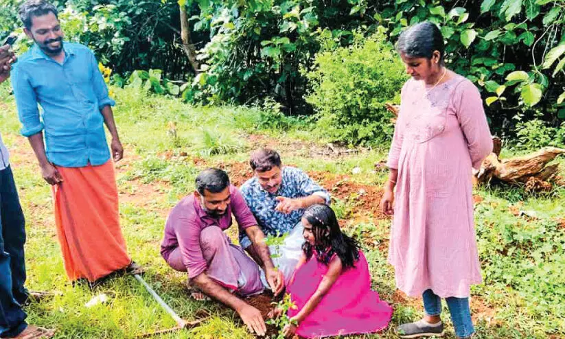 മാലിന്യക്കൂനയിൽനിന്ന് ഉയർന്നുവന്ന മാതൃക പാതയോരം