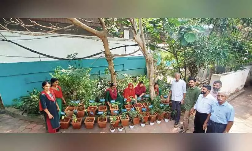 world environmental day world environmental day