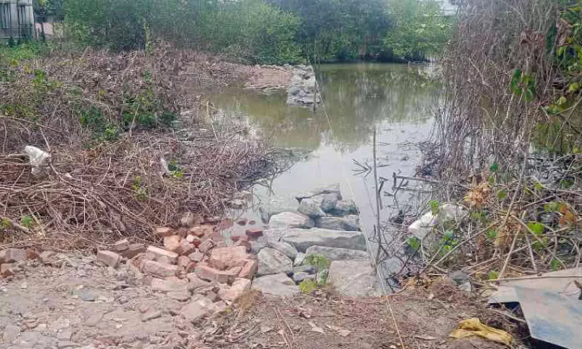 കണ്ടൽ വെട്ടിമാറ്റി തണ്ണീർത്തടം നികത്തുന്നതായി പരാതി