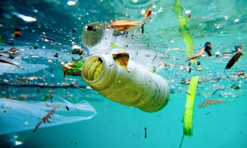 Plastic pollution