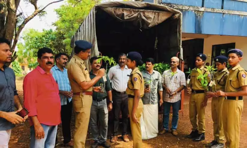 world environmental day