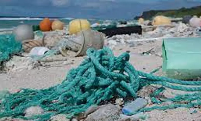 കായൽ കക്കയിലും മീനുകളിലും മൈക്രോപ്ലാസ്റ്റിക്