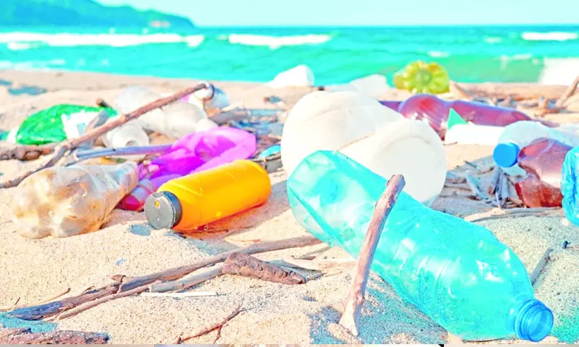 ഇന്ന് ലോക പരിസ്ഥിതി ദിനം; പ്ലാസ്റ്റിക്കിനെതിരെ പ്രതിരോധക്കോട്ട തീർത്ത് ഒമാൻ ഇന്ന് ലോക പരിസ്ഥിതി ദിനം; പ്ലാസ്റ്റിക്കിനെതിരെ പ്രതിരോധക്കോട്ട തീർത്ത് ഒമാൻ