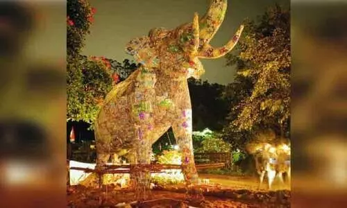 world environmental day world environmental day