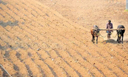 ക​ർ​ണാ​ട​ക​യി​ൽ ഗോ​വ​ധ നി​രോ​ധ​ന നി​യ​മ​ത്തി​ൽ ഭേ​ദ​ഗ​തി വ​രു​ത്തി​യേ​ക്കും