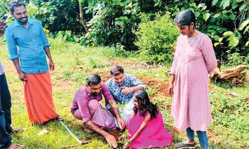 മാലിന്യക്കൂനയിൽനിന്ന് ഉയർന്നുവന്ന മാതൃക പാതയോരം