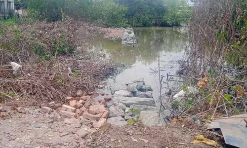 കണ്ടൽ വെട്ടിമാറ്റി തണ്ണീർത്തടം നികത്തുന്നതായി പരാതി