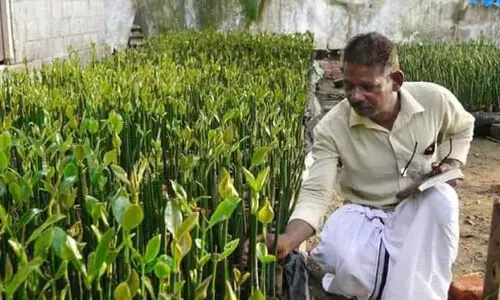 കണ്ടൽക്കാടിന്‍റെ കാവൽക്കാരൻ