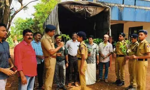 world environmental day