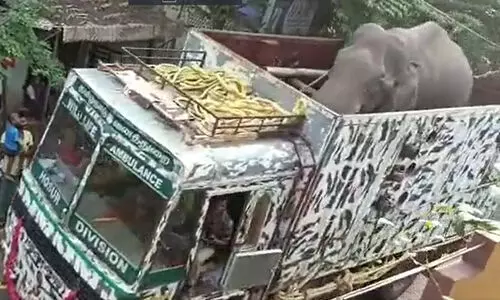 അരിക്കൊമ്പനെ തുറന്നുവിടുക തിരുനെൽവേലി മുണ്ടൻതുറൈ കടുവാസങ്കേതത്തിൽ