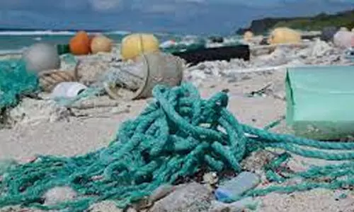 കായൽ കക്കയിലും മീനുകളിലും മൈക്രോപ്ലാസ്റ്റിക്