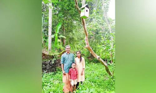 വീട്ടുവളപ്പിൽ കിളികൾക്ക് കൂടൊരുക്കി പ്രകൃതിസ്നേഹി