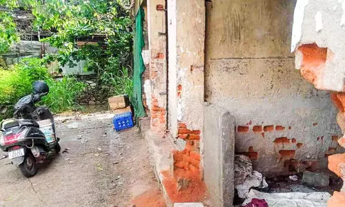 വൈദ്യുതിയും വെള്ളവും ലഭ്യമല്ല, തെരുവ് നായ്ക്കളുടെ വിഹാരകേന്ദ്രം  നഗരസഭക്ക്​ വേണ്ടേ ഈ ചന്ത?