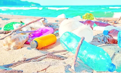 ഇ​ന്ന്​ ലോ​ക പ​രി​സ്ഥി​തി ദി​നം; പ്ലാ​സ്റ്റി​ക്കി​നെ​തി​രെ പ്ര​തി​രോ​ധ​ക്കോ​ട്ട തീ​ർ​ത്ത്​ ഒ​മാ​ൻ