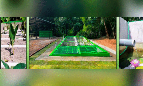 world environment day