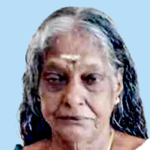 സൗ​ദാ​മി​നി അ​മ്മ