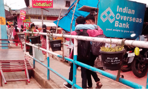 flowers city flowers city