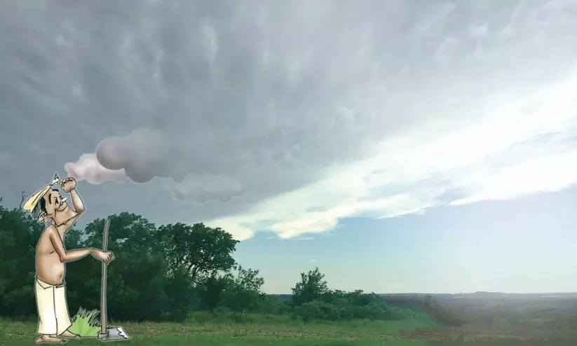 താളം തെറ്റി കാലവർഷം നട്ടം തിരിഞ്ഞ് കർഷകർ താളം തെറ്റി കാലവർഷം നട്ടം തിരിഞ്ഞ് കർഷകർ