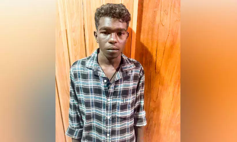 പ്രകൃതിവിരുദ്ധ പീഡനം: യുവാവ് പിടിയിൽ