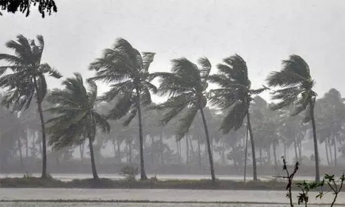 അടുത്ത 48 മണിക്കൂറിനുള്ളിൽ കാലവർഷം കേരളത്തിൽ എത്താൻ സാധ്യതയെന്ന് കേന്ദ്ര കാലാവസ്ഥ വകുപ്പ്