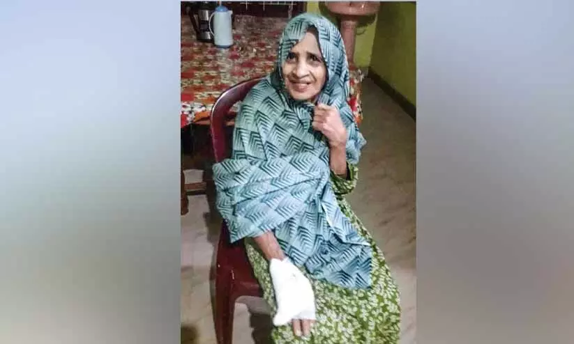 പെരുവള്ളൂരിൽ തെരുവുനായ് ആക്രമണം എട്ടുപേർക്ക് കടിയേറ്റു പെരുവള്ളൂരിൽ തെരുവുനായ് ആക്രമണം എട്ടുപേർക്ക് കടിയേറ്റു