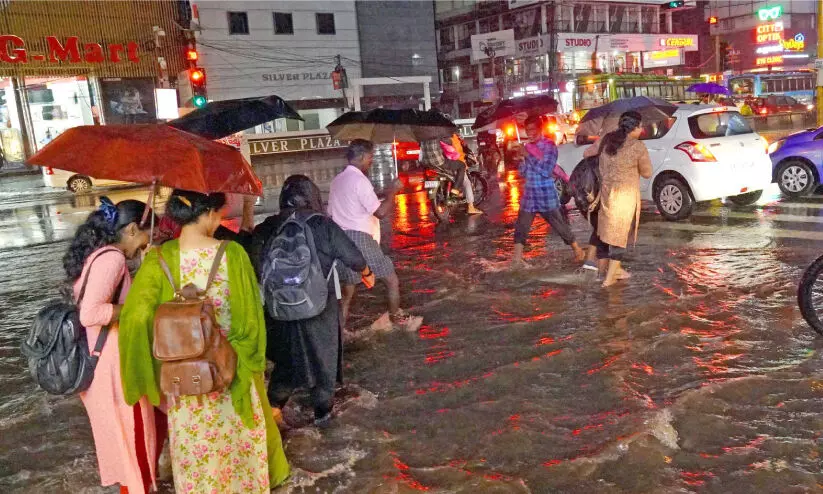 waterlogging waterlogging