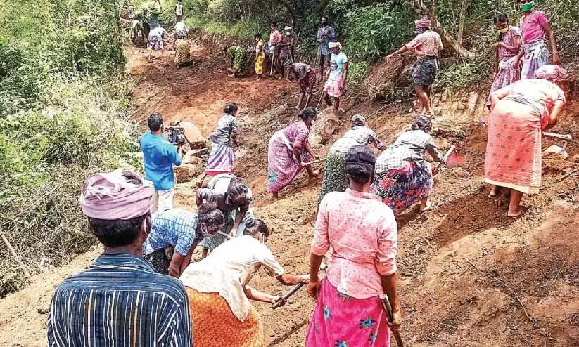 ചെ​മ്മ​ണാ​മ്പ​തി-​പ​റ​മ്പി​ക്കു​ളം വ​ന​പാ​ത ക​ല​ക്ട​ർ 12ന് ​സ​ന്ദ​ർ​ശി​ക്കും