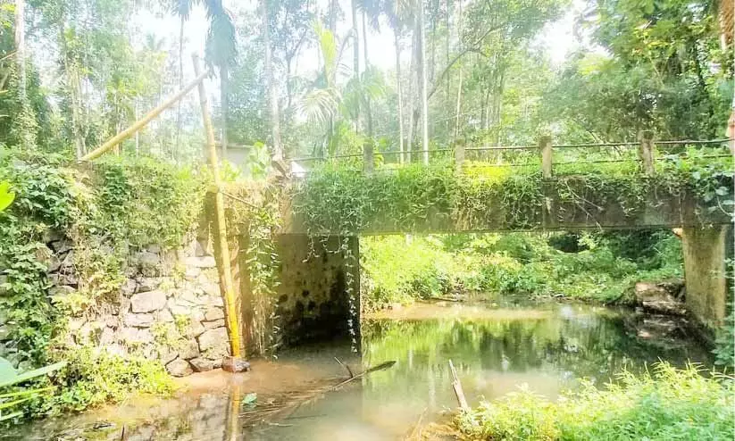 തോട്ടുങ്കൽ പാലം പുനർനിർമിക്കണം
