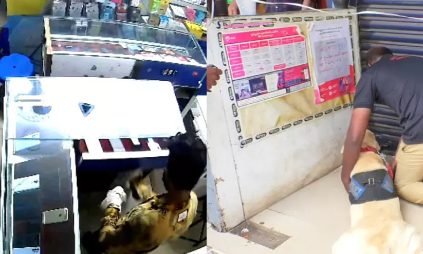 theft case theft case