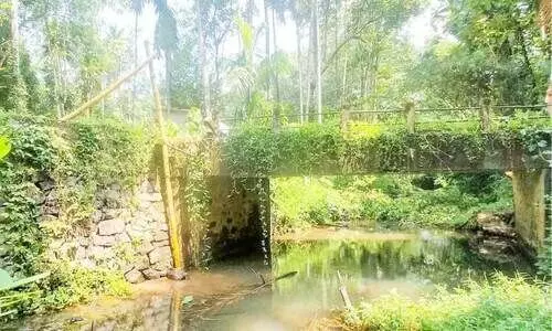 തോട്ടുങ്കൽ പാലം പുനർനിർമിക്കണം