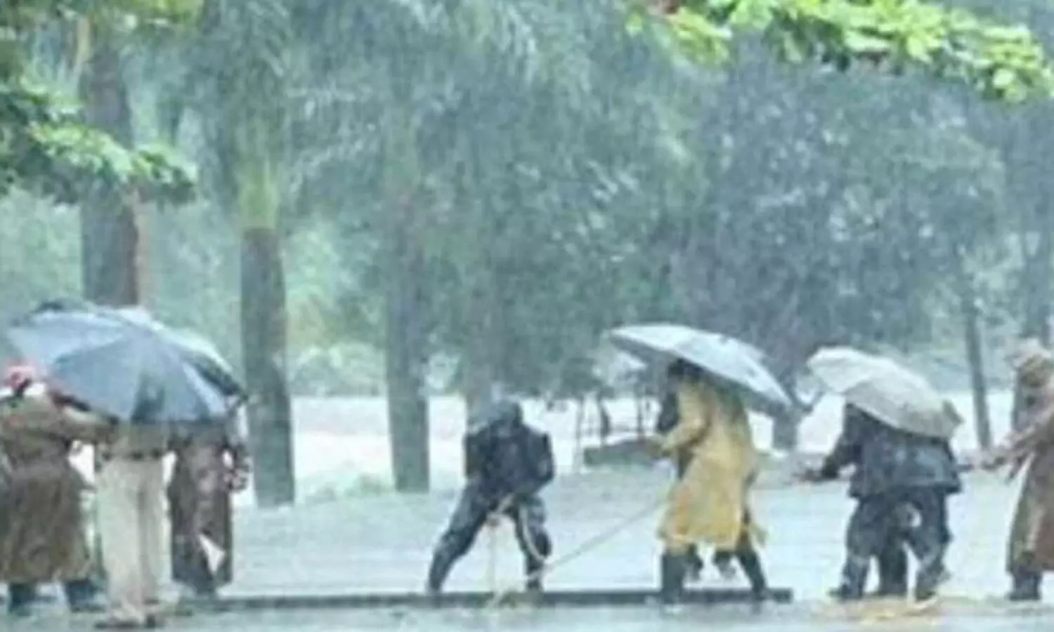 അഞ്ച് ദിവസം വ്യാപക മഴക്ക് സാധ്യത