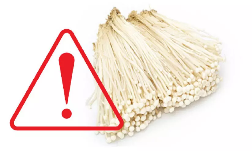 താ​യ്‍ല​ൻ​ഡി​ൽ​നി​ന്നു​ള്ള കൂ​ൺ ഉ​പ​യോ​ഗി​ക്ക​രു​ത്; മു​ന്ന​റി​യി​പ്പു​മാ​യി മ​ന്ത്രാ​ല​യം