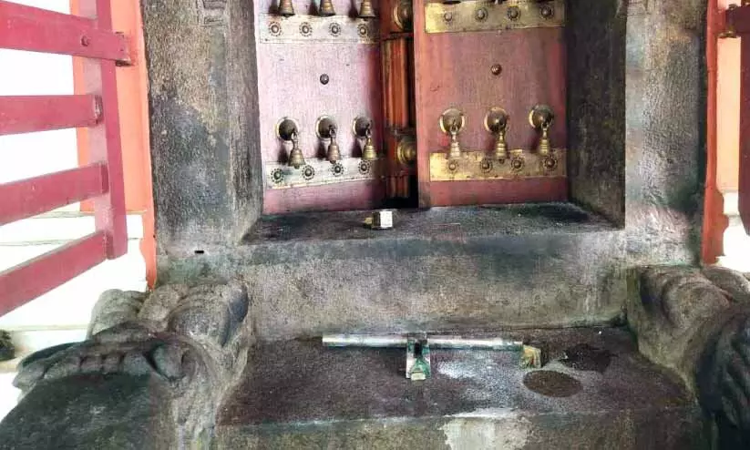 theft case theft case