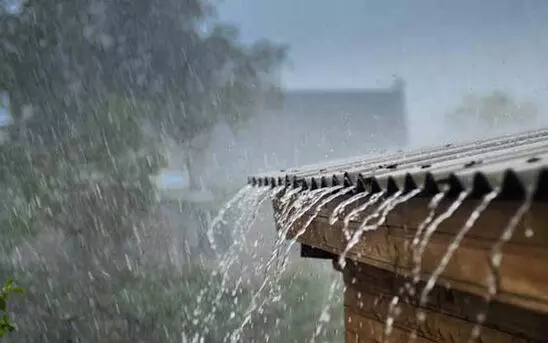 മഴ കനക്കുന്നു; ഇടുക്കി ജില്ലയിൽ 12 വരെ യെല്ലോ അലർട്ട് മഴ കനക്കുന്നു; ഇടുക്കി ജില്ലയിൽ 12 വരെ യെല്ലോ അലർട്ട്