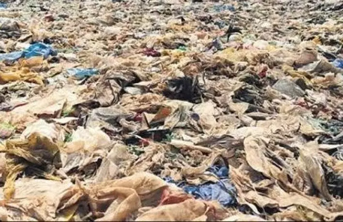 കോര്‍പറേഷനിലെ ജൈവമാലിന്യം രണ്ടു മാസത്തേക്ക് കൂടി ബ്രഹ്മപുരത്തേക്ക് കൊണ്ടുപോകാൻ തീരുമാനം