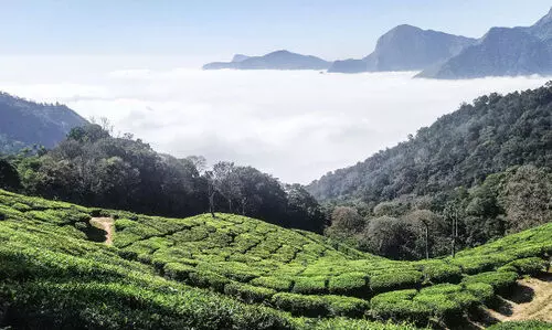 പെരുമയേറും മൂന്നാർ... പെരുമയേറും മൂന്നാർ...