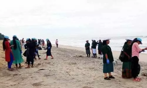 coastal area coastal area