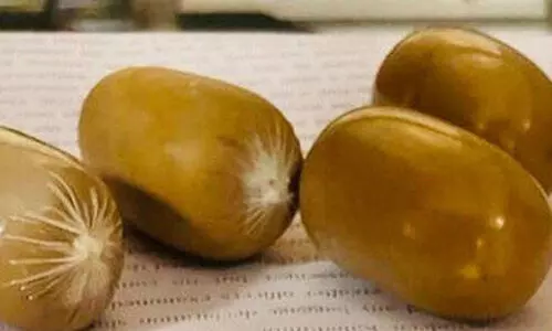 കരിപ്പൂരിൽ 1.15 കോടിയുടെ സ്വർണക്കടത്ത് പിടികൂടി