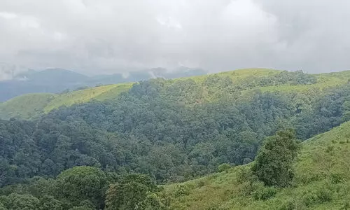 മഴയത്ത് ഒരു ഗവി യാത്ര പോയാലോ?