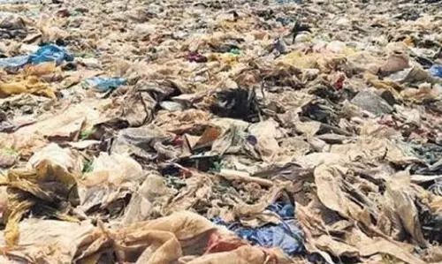 കോര്‍പറേഷനിലെ ജൈവമാലിന്യം രണ്ടു മാസത്തേക്ക് കൂടി ബ്രഹ്മപുരത്തേക്ക് കൊണ്ടുപോകാൻ തീരുമാനം