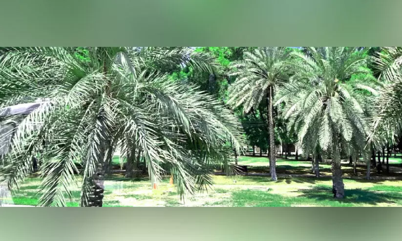 ബയ്നൂന പാര്ക്ക് അടച്ചു ബയ്നൂന പാര്ക്ക് അടച്ചു