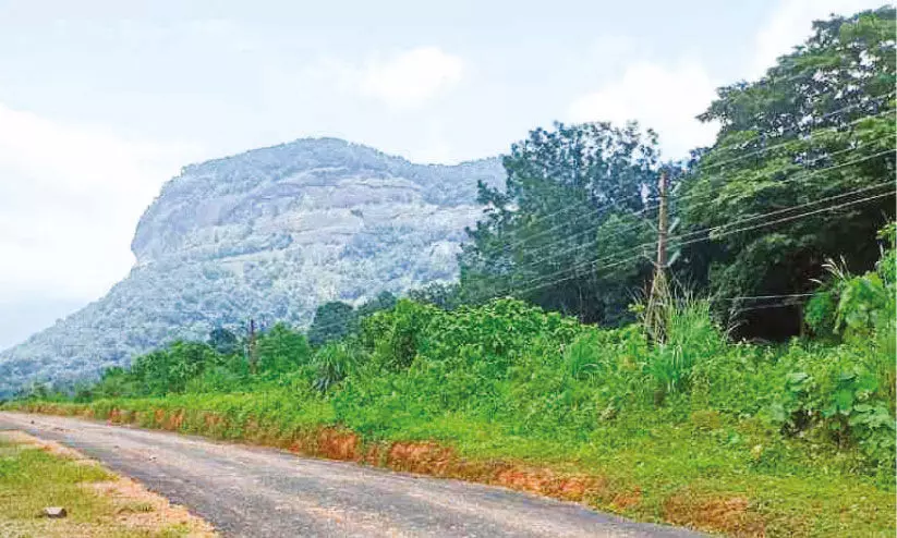 ഗ്രീൻഫീൽഡ് പാത നഷ്ടപരിഹാരം ജൂലൈ ആദ്യവാരം ഗ്രീൻഫീൽഡ് പാത നഷ്ടപരിഹാരം ജൂലൈ ആദ്യവാരം