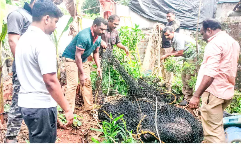 കിണറ്റിൽ വീണ കാട്ടുപന്നിയെ രക്ഷപ്പെടുത്തി കിണറ്റിൽ വീണ കാട്ടുപന്നിയെ രക്ഷപ്പെടുത്തി