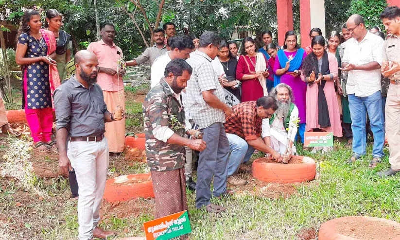 കോന്നി ഇക്കോ കേന്ദ്രത്തിൽ തുളസി വനം കോന്നി ഇക്കോ കേന്ദ്രത്തിൽ തുളസി വനം