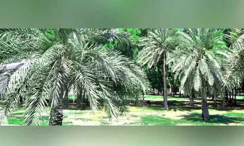 ബയ്നൂന പാര്‍ക്ക് അടച്ചു