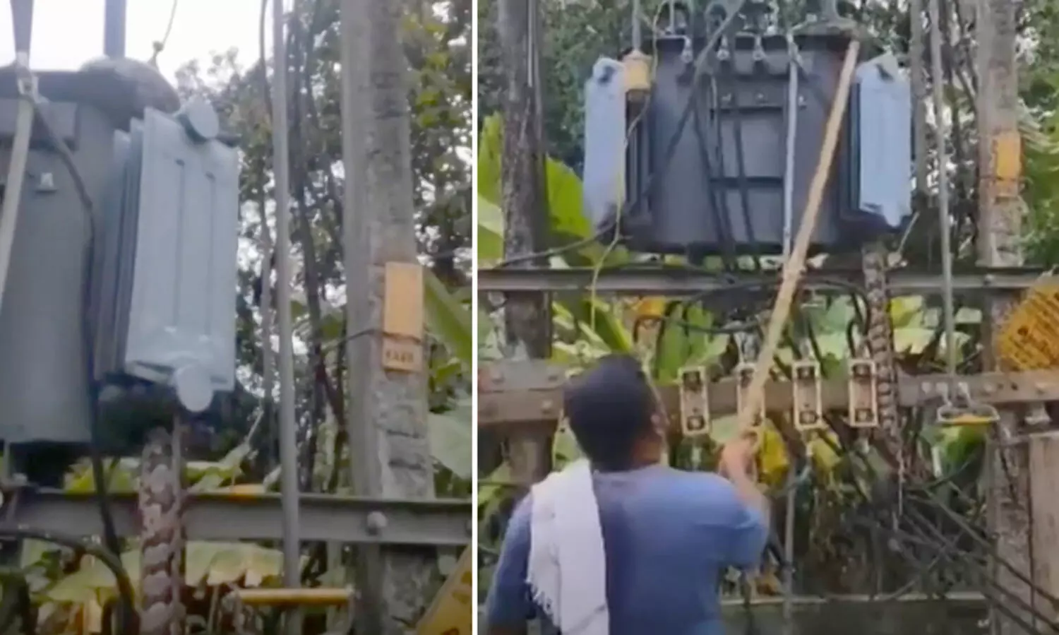 python at kseb transformer