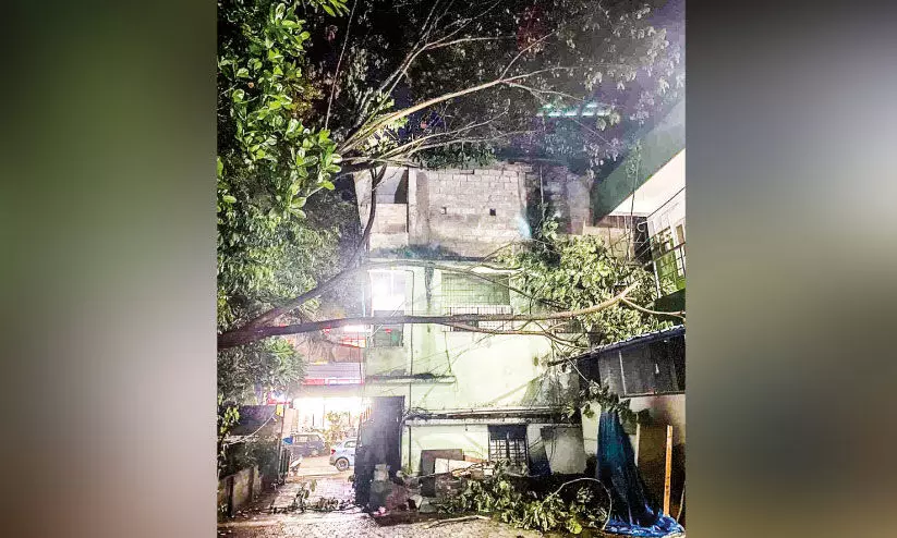 കാ​റ്റി​ൽ മ​രം വീ​ണു